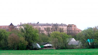 Общий вид Клеванского замка